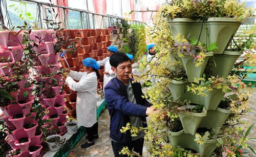 宣威农硕:建药材基地、富一方百姓