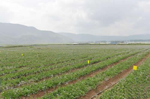 品牌农业引领农业高质量发展 5bac2833211e3.jpg