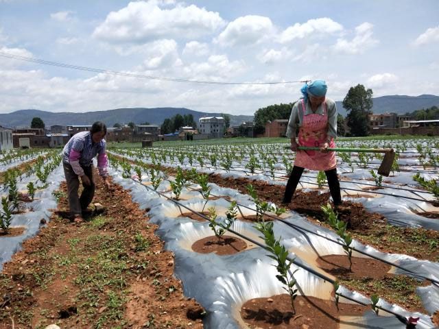 宣威热水镇gdp_热水镇 云南省宣威市热水镇 搜狗百科(2)