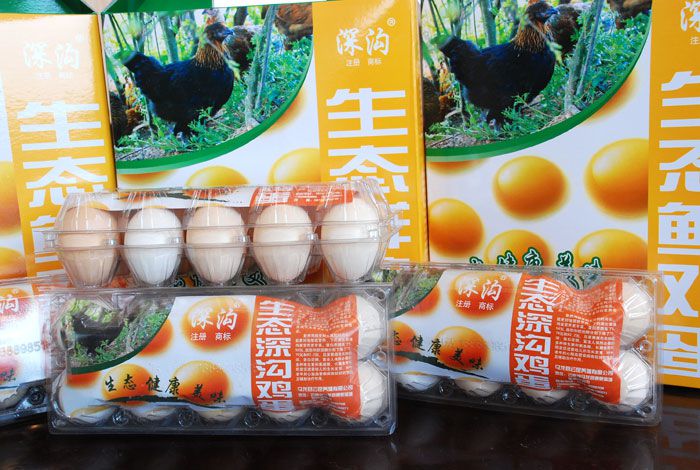 首页 农业经纪人 深沟鸡系列产品   马龙县云昆养殖有限公司常年供应