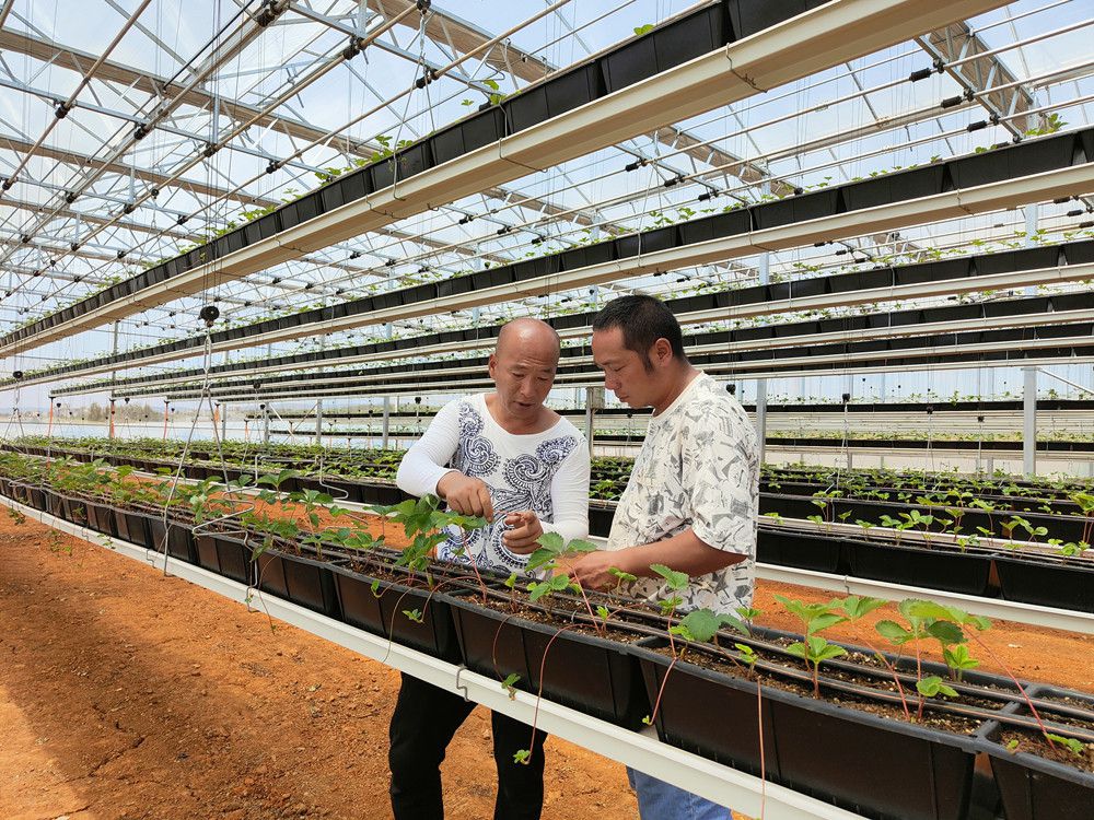 半自理照护文娱丰富养老社区实力榜普乐时光石景山区民族养老院东区榜单地址电线最新