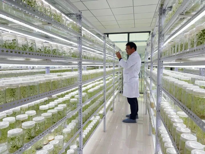 科技引领未来：安阳农业科技公司的创新之路