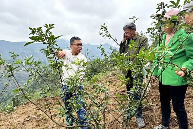 珠江源农网-农业新闻 农产品信息 农业市场价格