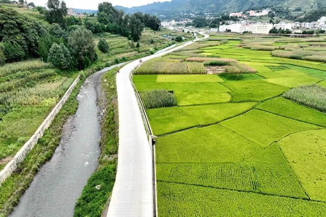 宣威文兴乡：高标准农田建设绘就民生“丰”..