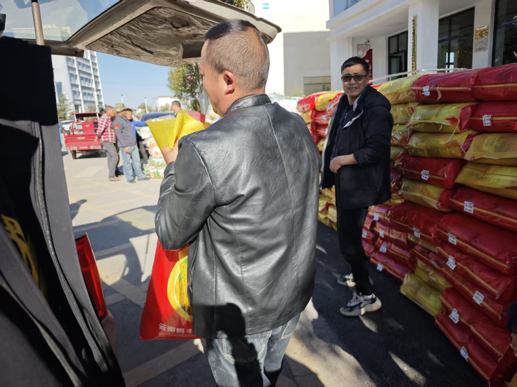 马龙：农技下乡促春耕 优质稻种送田间