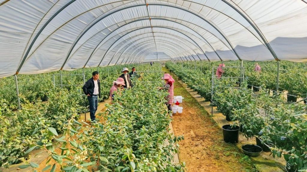 马龙区多措并举让群众“家门口”务工增收