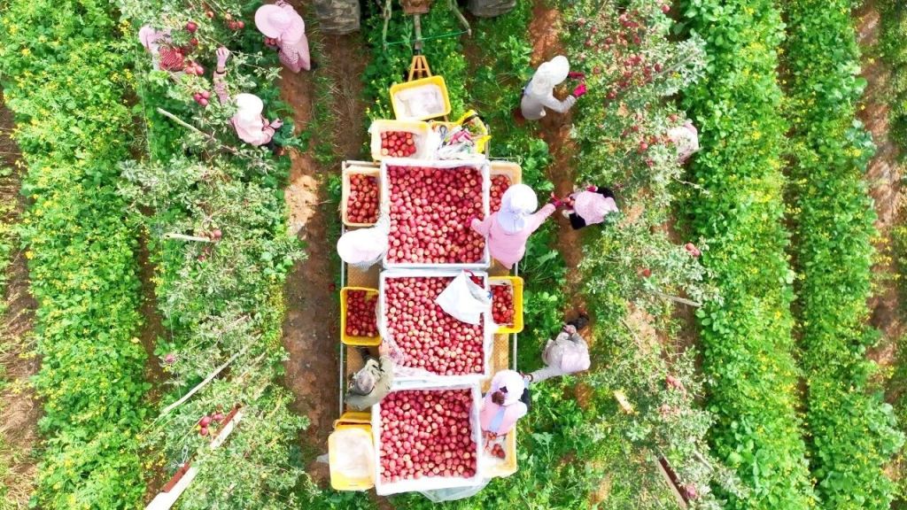 马龙区聚焦农村劳动力“就业远、顾家难、增..