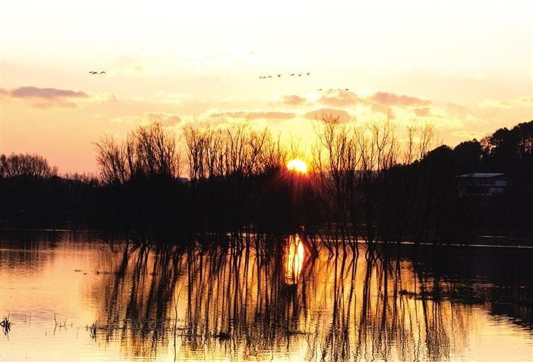 念湖晨曦鹤舞美