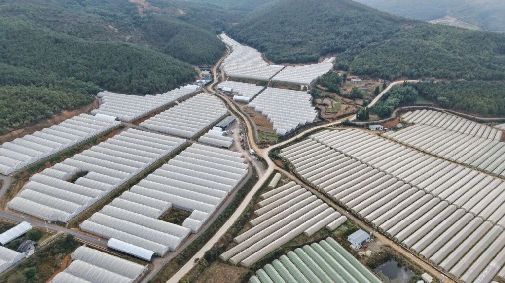 马龙区做强农业特色产业