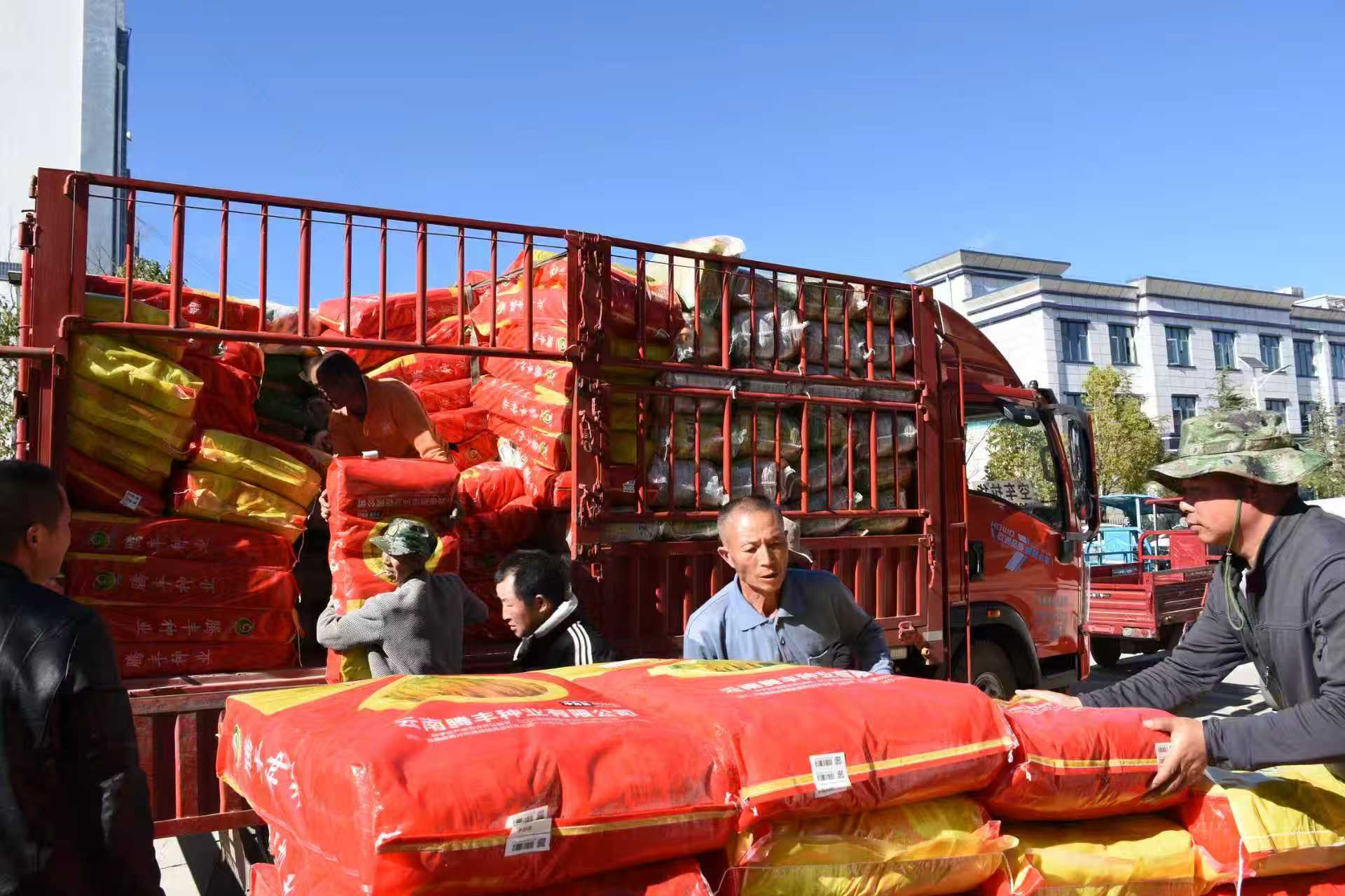 马龙：春耕备耕有序推进