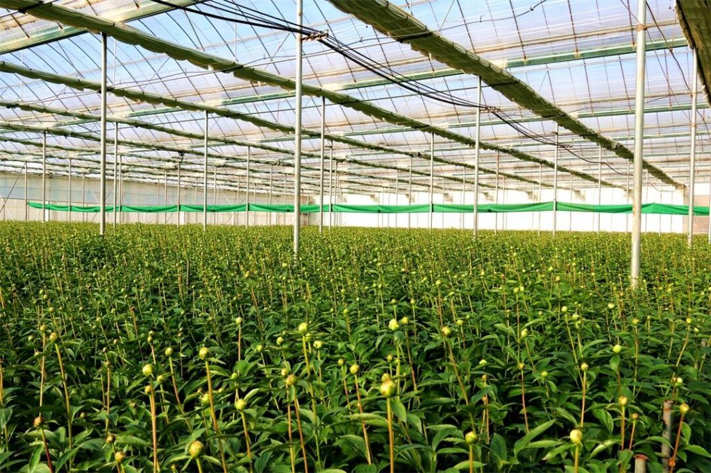 马龙区加快推动传统农业向现代农业转型升级