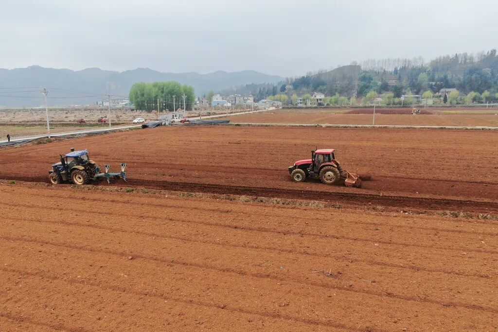 宣威春耕生产正当时 夯实根基保丰收