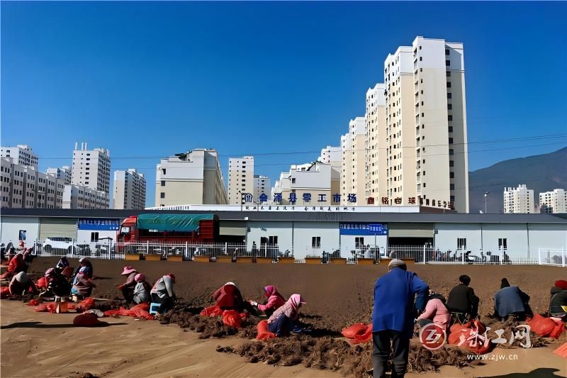 会泽钟屏街道：“三联三强”托起搬迁群众“..