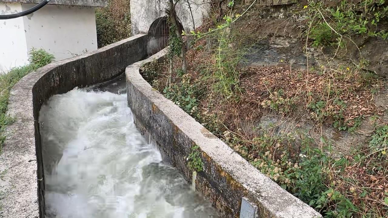 张安屯街道：三线并进忙春耕 不误农时不负..