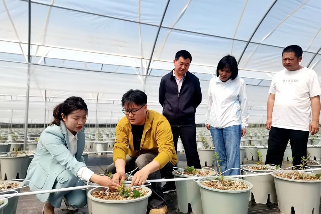 土地“重启”!宣威西泽“腾笼换鸟”盘活乡..