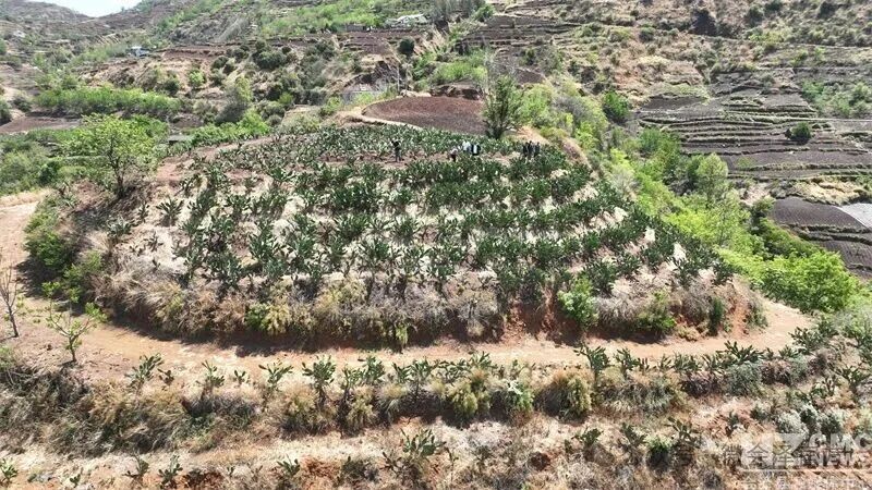 会泽县马路乡:70后女主播带货闯市场 ..