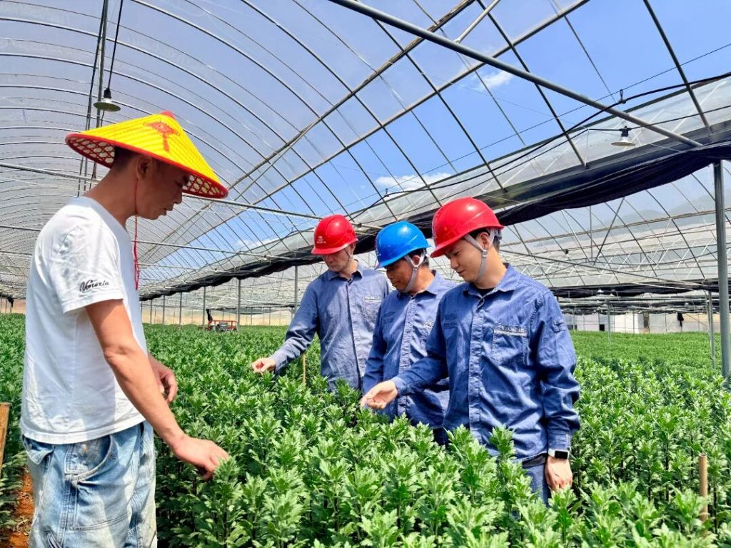 罗平——全力护航花卉产业提质增效