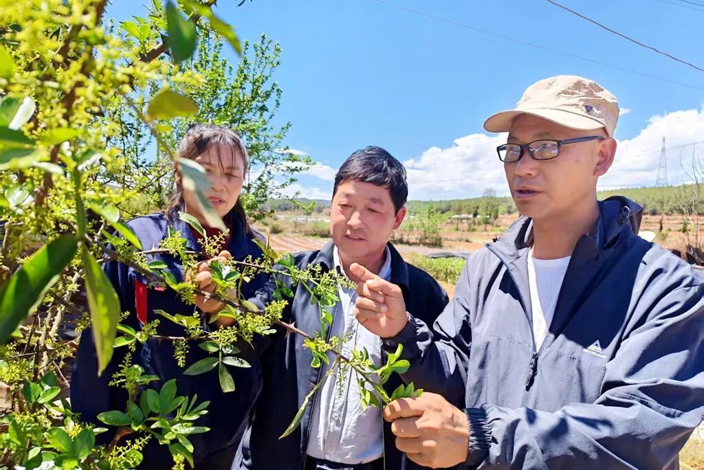 宣威：推进科技小院建设 培育乡村振兴新动..