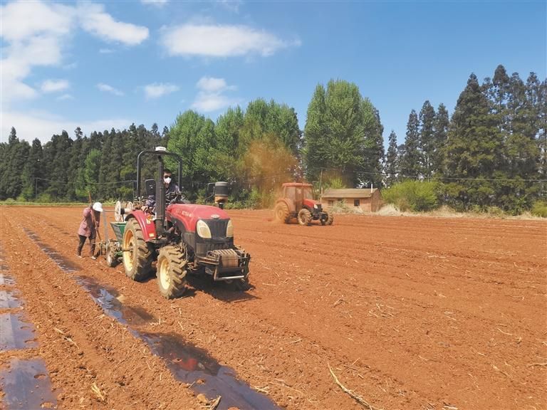 宣威：春耕生产全面铺开