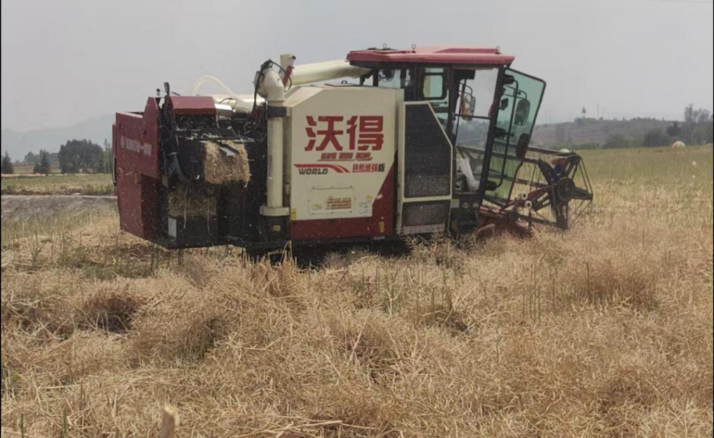 罗平油菜秸秆变“绿金”  双机型协同跑出..