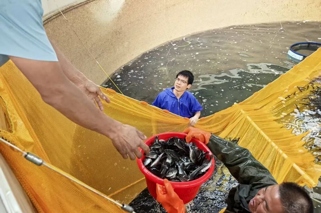 宣威虹桥街道：大力推广鲈鱼接力养殖模式 ..