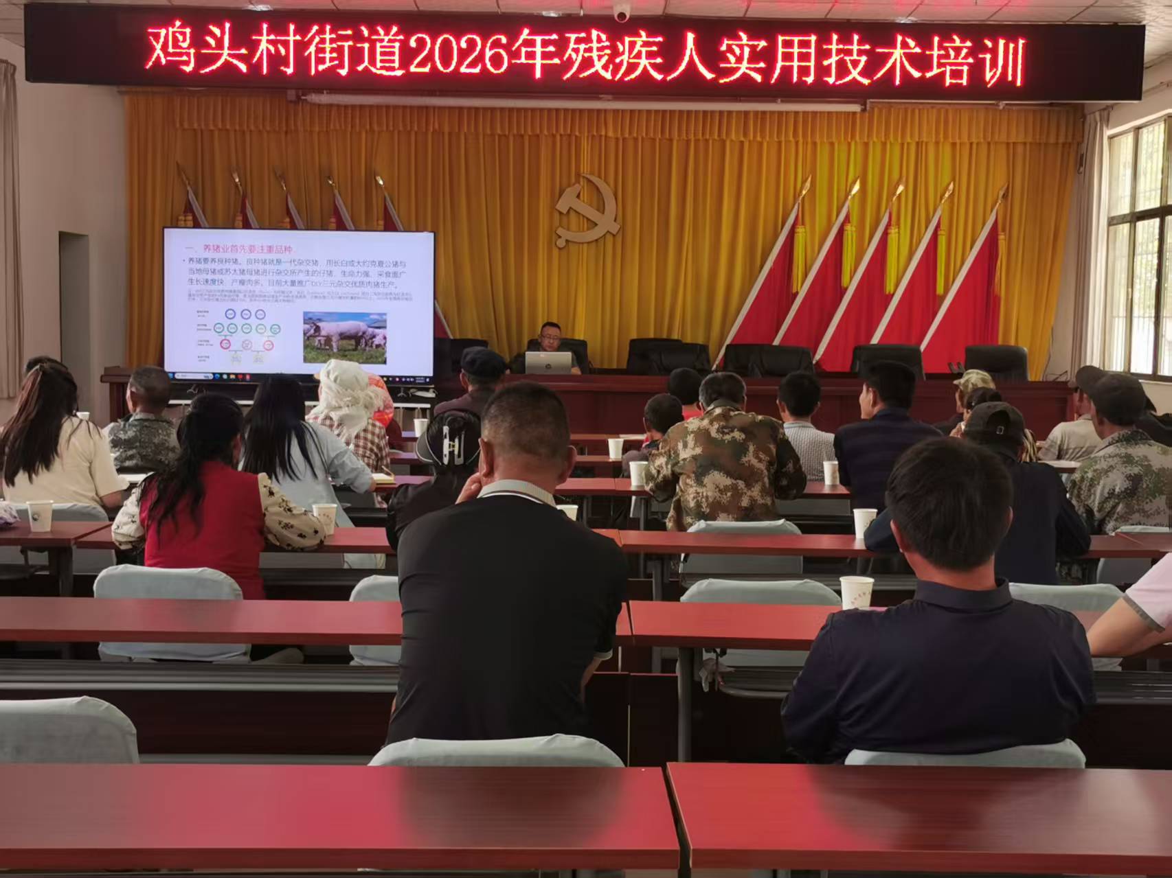 鸡头村街道:技苗双扶纾民困 产业助残促增..