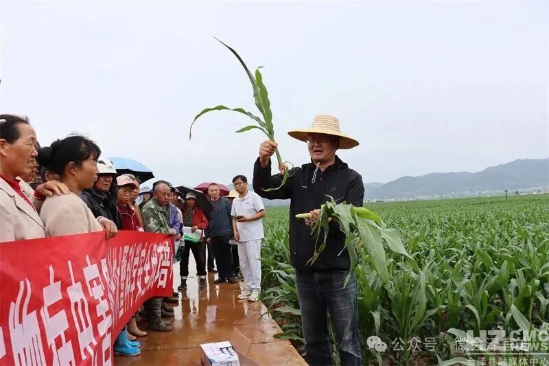 会泽县:田间课堂传农技 精准施策保丰收