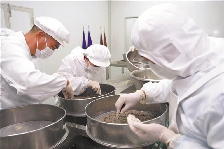会泽依托生态优势做强鲟鱼产业—— 乌蒙深..