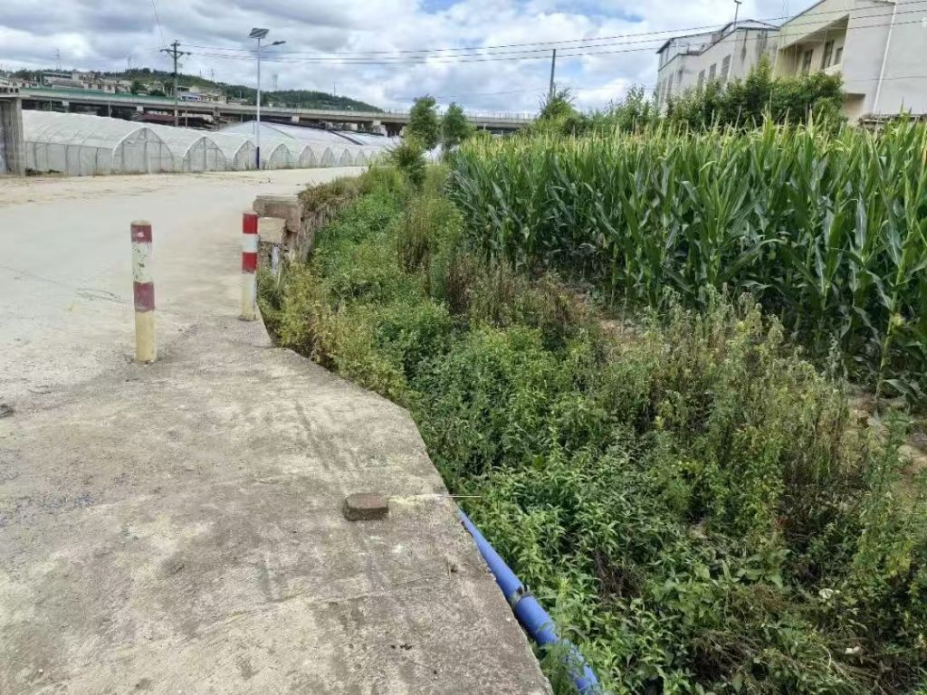 ​鸡头村街道：清理河道除隐患 筑牢防汛安..