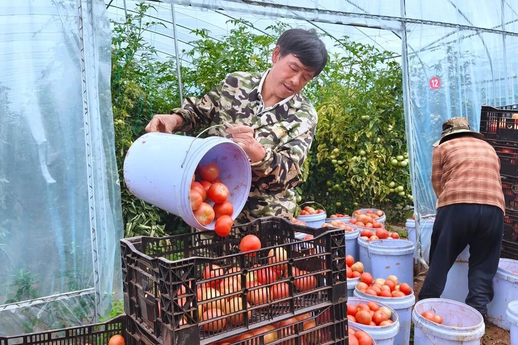 宣威：家门口服务站织密就业网 千人上岗激..