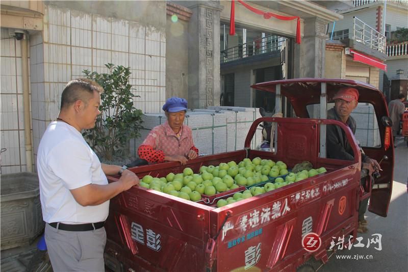 季夏时节果飘香 乌龙社区苹果产销两旺