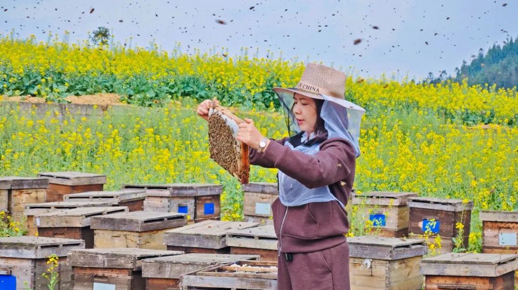优秀共产党员吴丽飞——“蜂”途践初心 实..