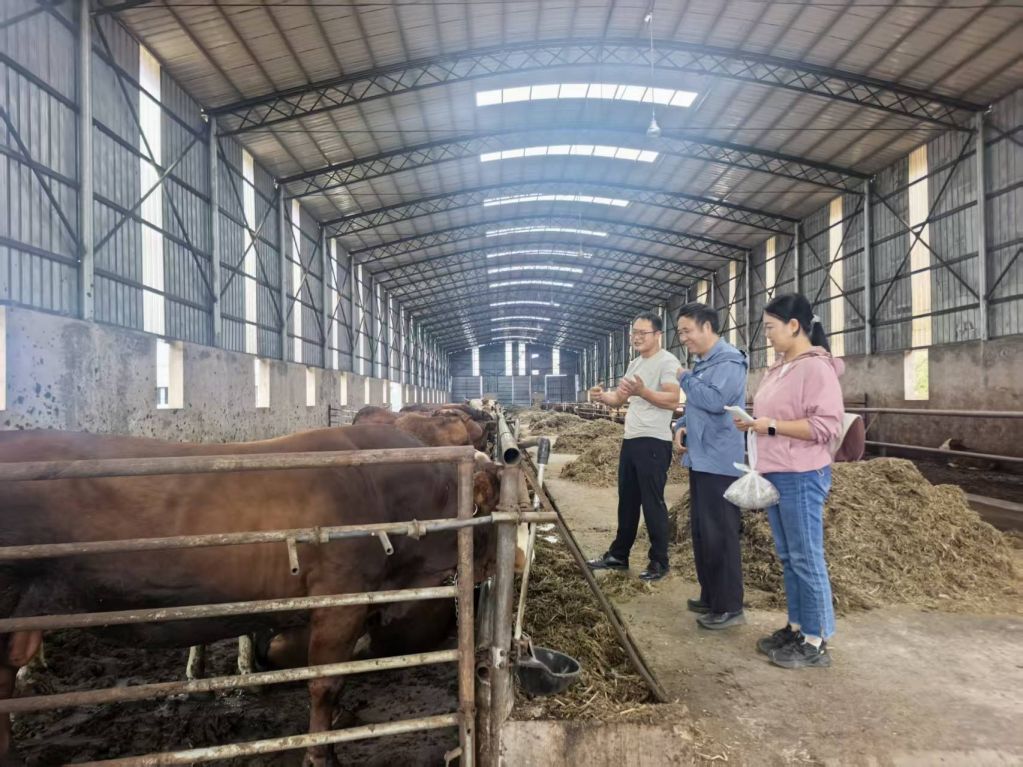 科技特派团深入养殖一线 精准开展一对一技..