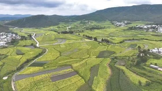 提高复种指数 拓宽增收渠道——纳章镇推广..