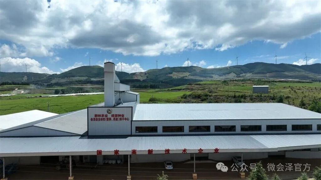 强强联手延链增值 会泽驾车乡小苦荞闯出大..