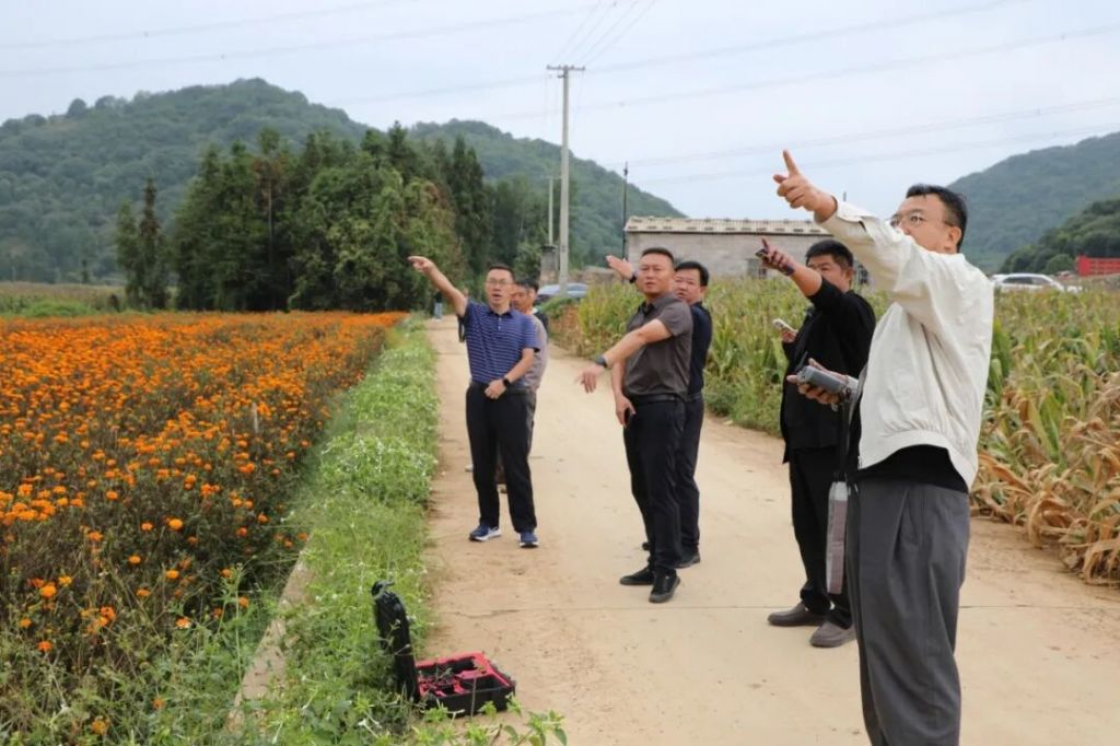 罗平县板桥镇“走出去引进来”跑出特色农业..