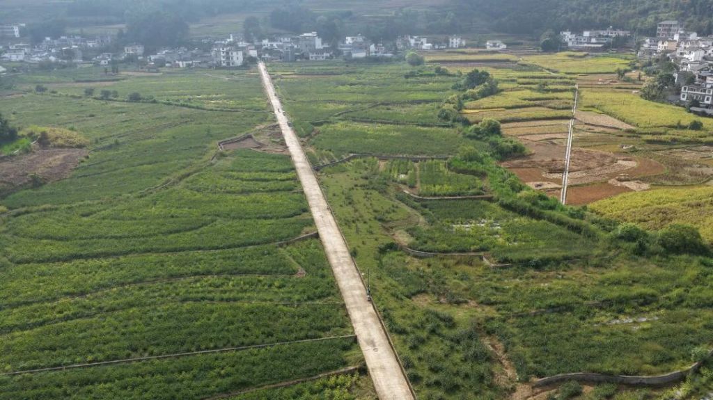 罗平长底乡:一朵洛神花 铺就共富路