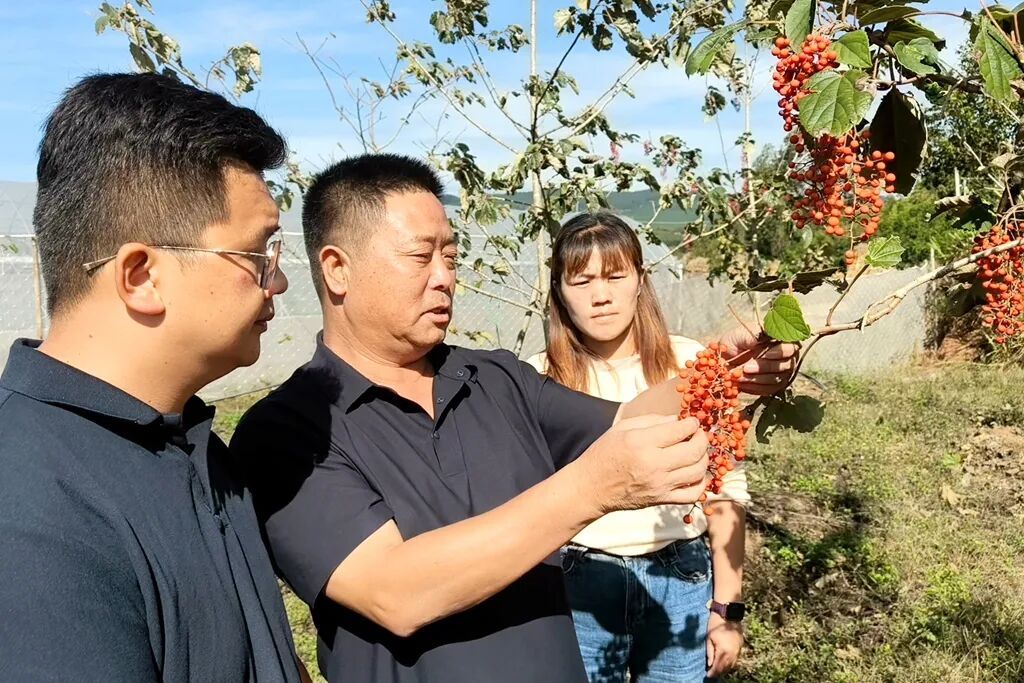 自强模范包继彪：自强追梦在田间 产业铺就..